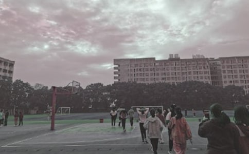 W(xu)УĲو