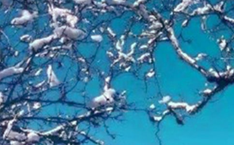 ľ