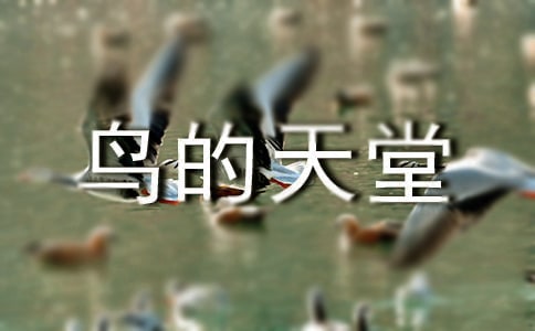꼉ZĽ̰B(7ƪ)