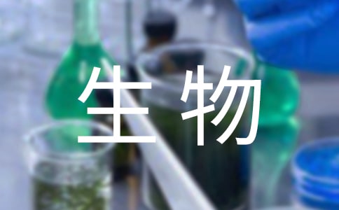 P(gun)꼉(j)̰ƪ