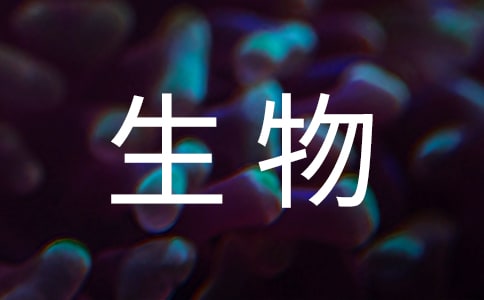 꼉(j)̌W(xu)Ӌ(j)x5ƪ
