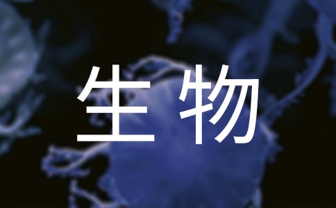 W(xu)˾(hu)(sh)`(bo)