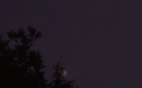 εഺ־Z7ƪ