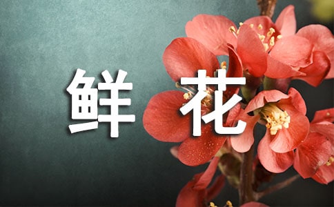 rW(wng)ꄓ(chung)I(y)Ӌͨ5ƪ