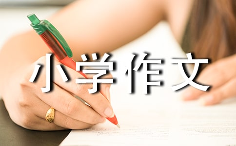 㶹СW(xu)