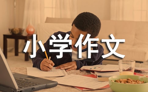 cСW(xu)