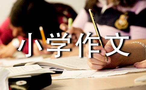 СW(xu)