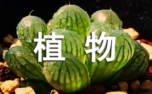 Aֲă(yu)4ƪ