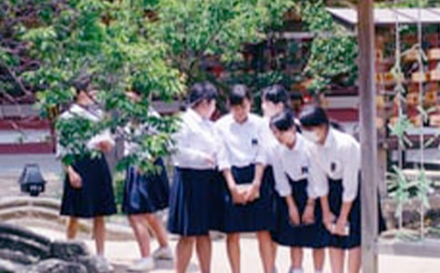 ЌW(xu)ӛ15ƪ